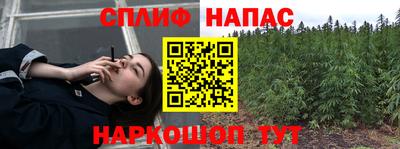 a pvp Гатчина