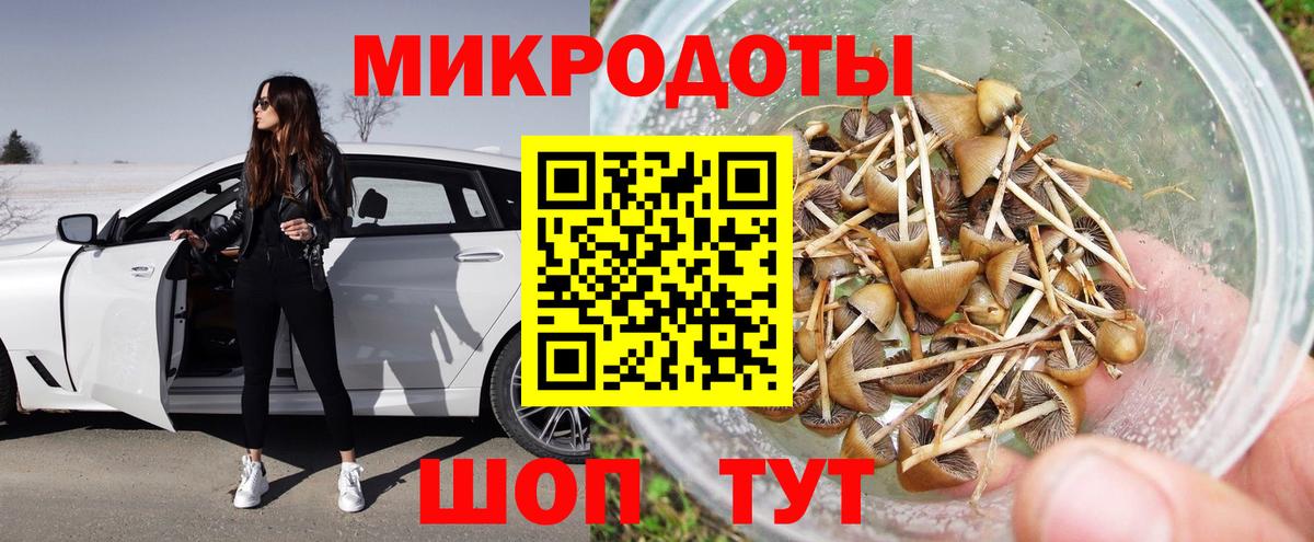 A-PVP Белгород