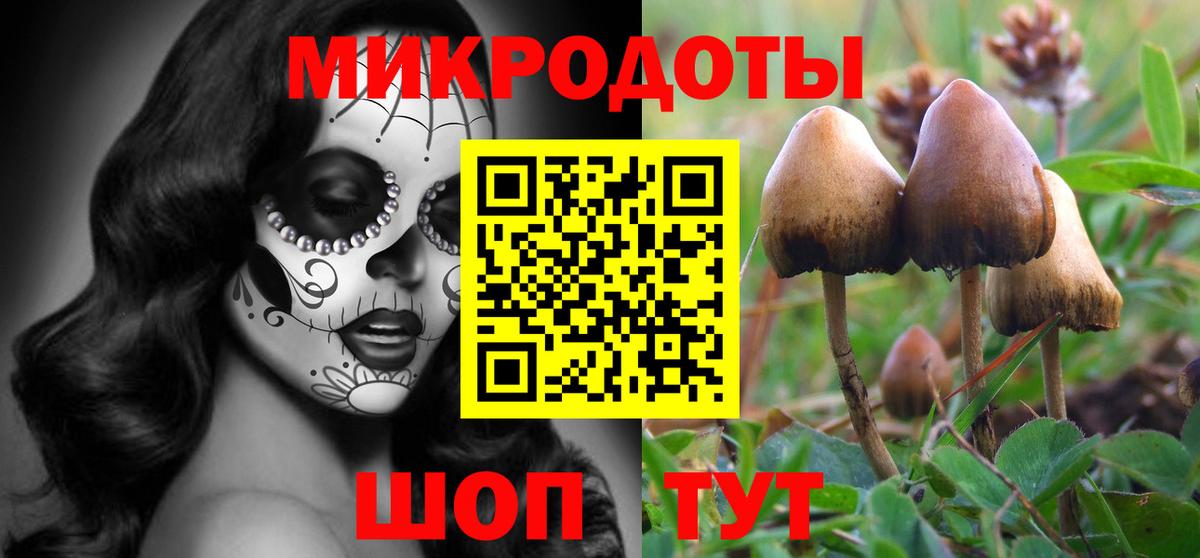 Псилоцибиновые грибы мухоморы Белгород