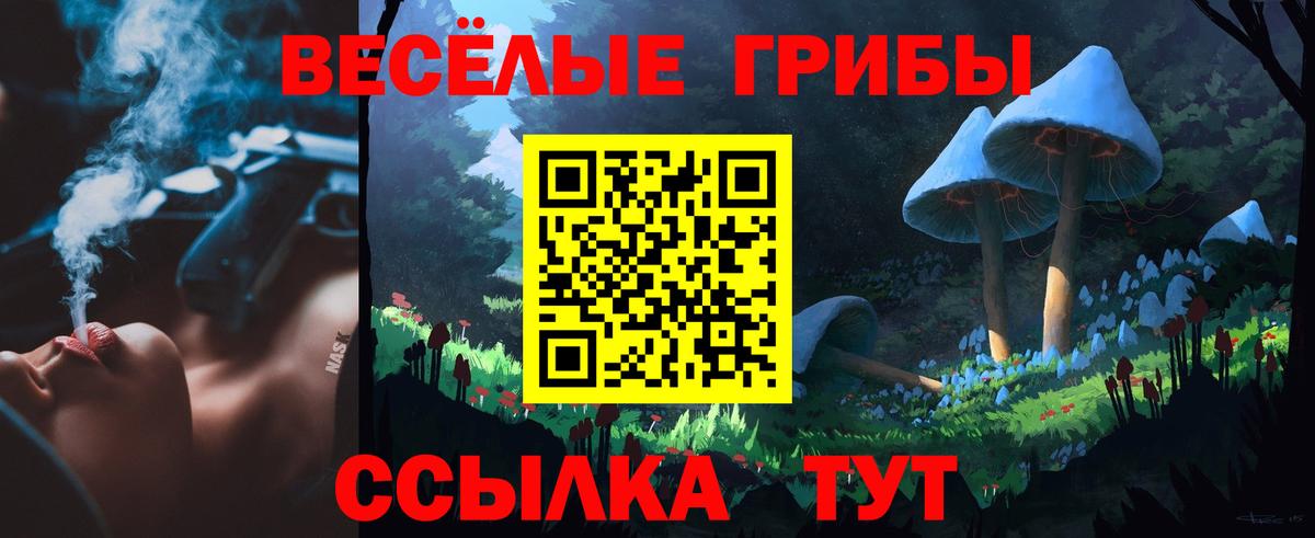 Белгород  Псилоцибиновые грибы Cubensis  Вход с VPN 